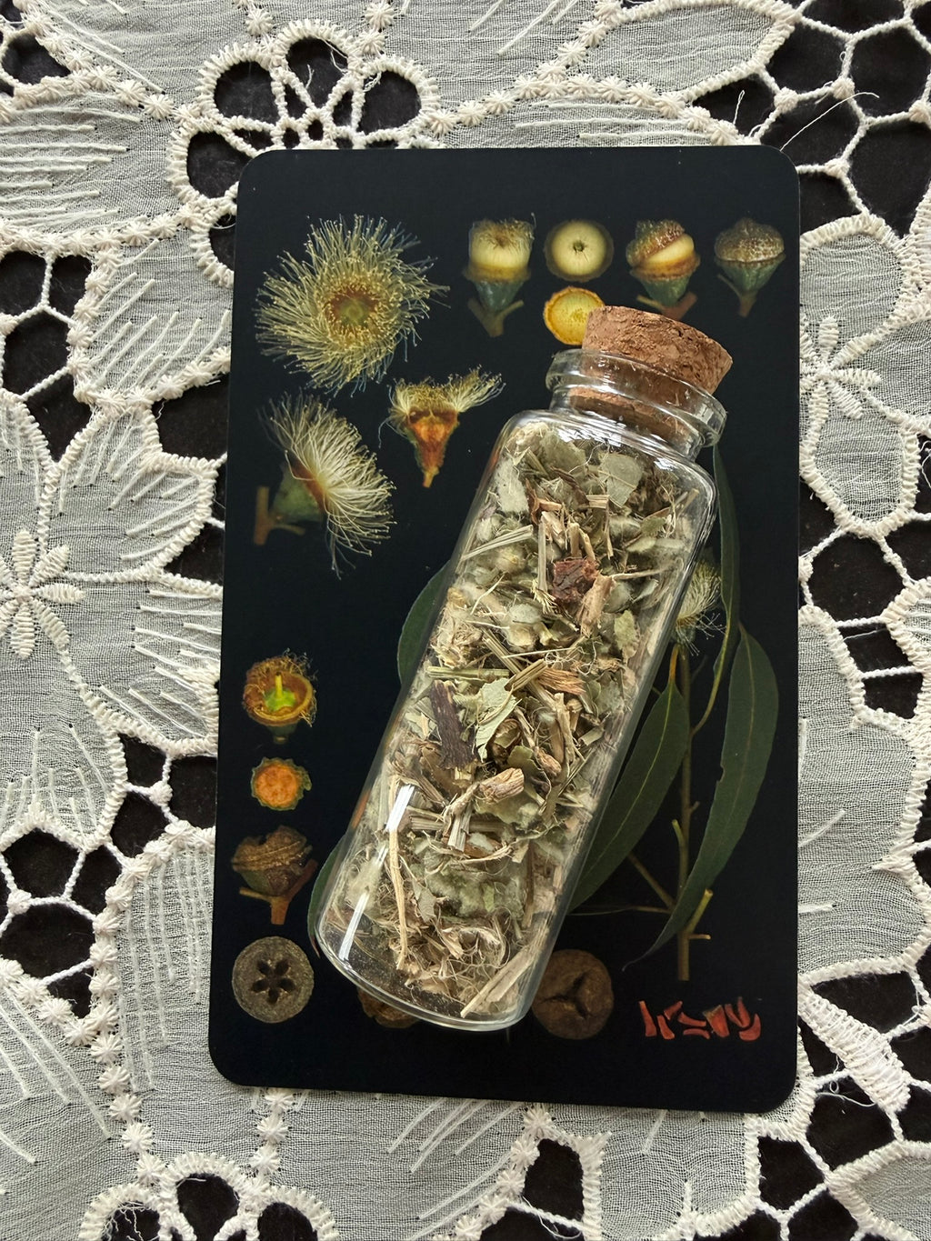 Lung & Immunitea