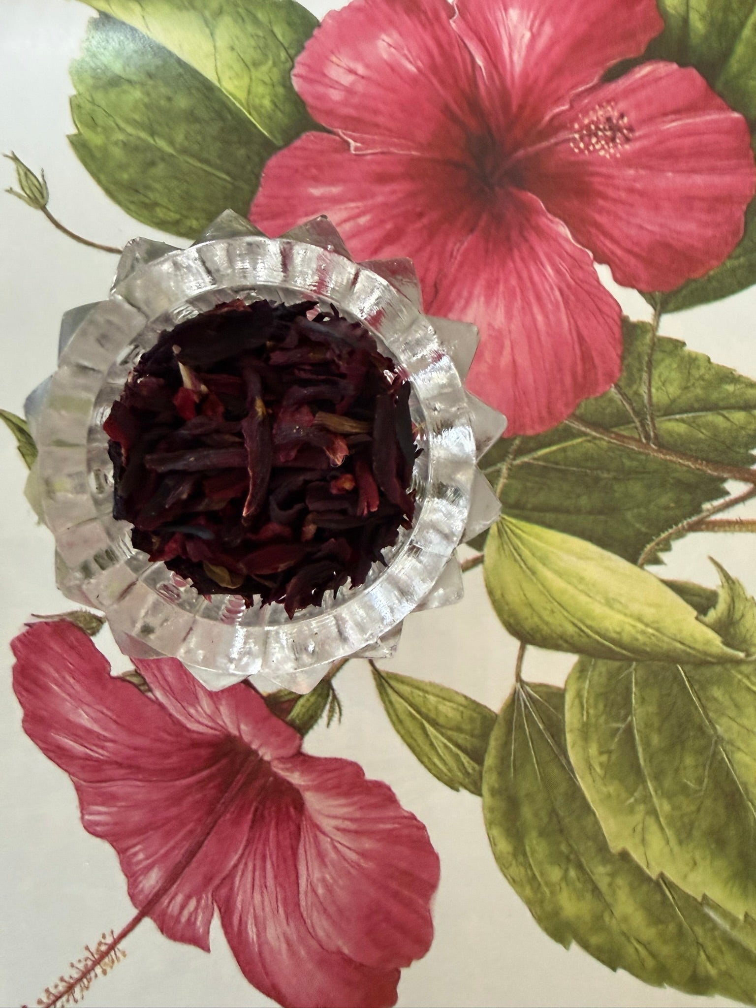 Hibiscus Cold Brew Tea